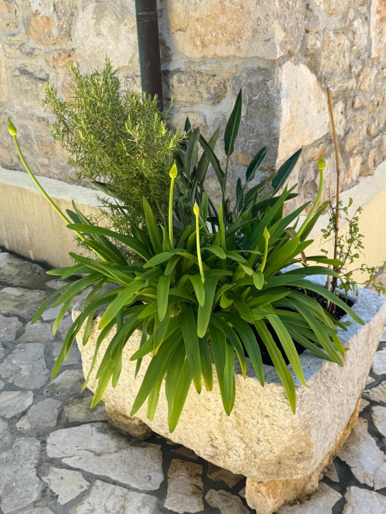 Mediterranes Ferienhaus M. Terrasse Veli Losinj Bagian luar foto