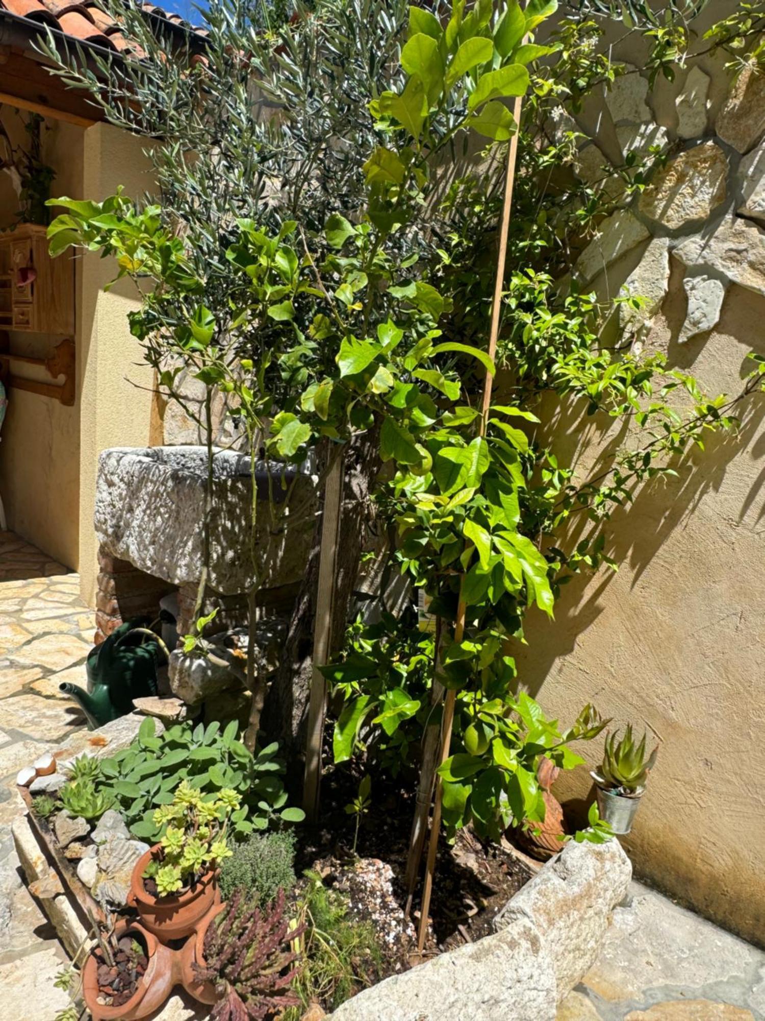 Mediterranes Ferienhaus M. Terrasse Veli Losinj Bagian luar foto